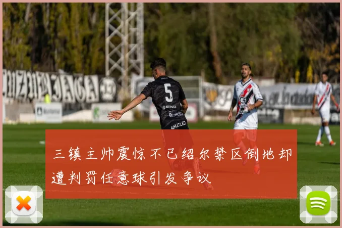 三镇主帅震惊不已绍尔禁区倒地却遭判罚任意球引发争议