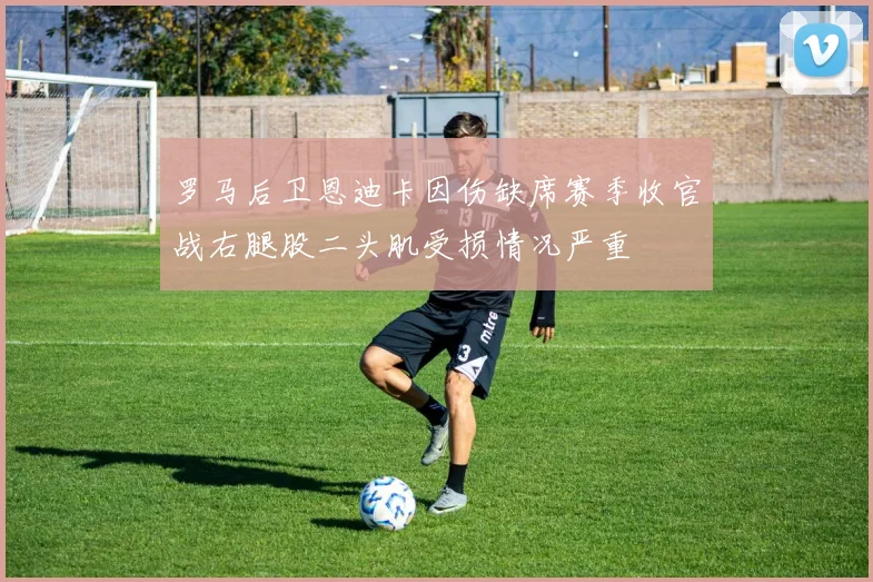 罗马后卫恩迪卡因伤缺席赛季收官战右腿股二头肌受损情况严重